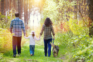 Naklejka na ściany i meble Family with dog walking in the forest back to camera