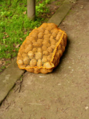 Sack Kartoffeln