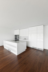 Fototapeta na wymiar beautiful empty apartment, white kitchen