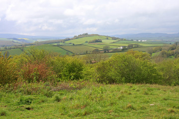 Devon countryside