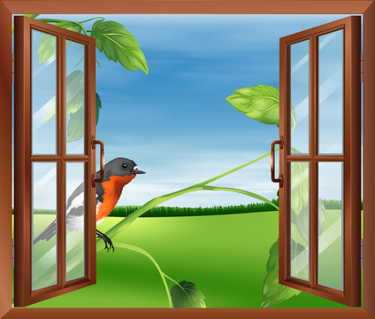 An open window with a view of the bird outside