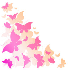 butterflies design