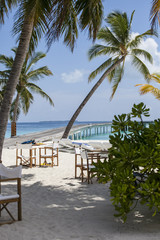 beach in the Maldives