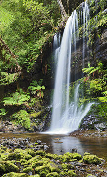 Fototapeta Falls Russel Tasmania Vertical