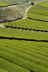 The image of beautiful scenery