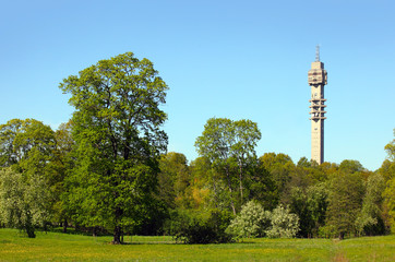 Obraz premium Stockholms TV-Tower
