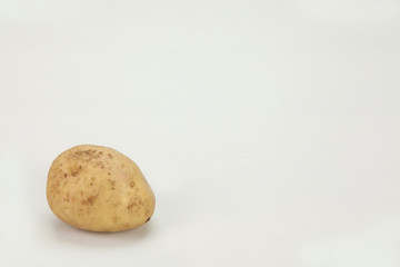 Fototapeta premium The image of fresh vegetable