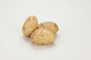 The image of fresh vegetable