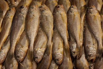 fish in seafood market