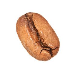 Single coffee bean close-up