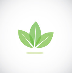 leaves icon vector