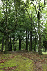 The image of beautiful scenery