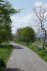 The image of beautiful scenery