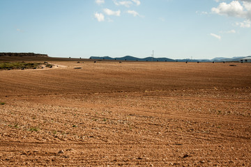 Field in Almeria