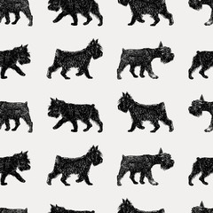 walking terrier pattern