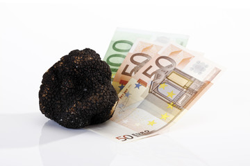 Schwarze Trüffel und Euroscheine