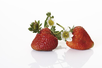 Erdbeeren und Bl&uuml;te, Bl&uuml;ten, Blumenn