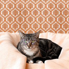 Kuschelplatz