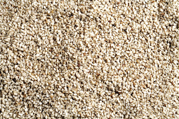 Sesamsamen , close-up