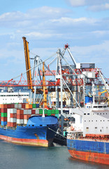 Fototapeta premium Container stack and ship under crane bridge