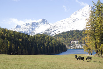 The image of holidays