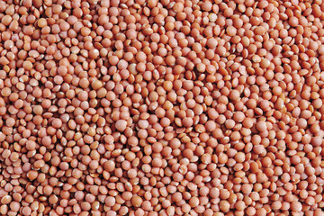 Getrocknete rote Linsen, cose -up