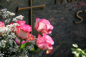 Rosen vor Grabstein