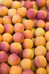 Mucchio di albicocche
