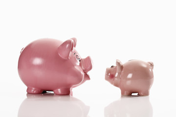 Sparschweine auf weißem Hintergrund