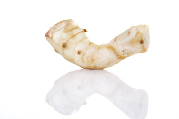 Alpinia Galanga, close-up