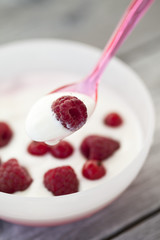 Nahaufnahme von Joghurt mit Himbeeren und rote Johannisbeeren in einer Schüssel