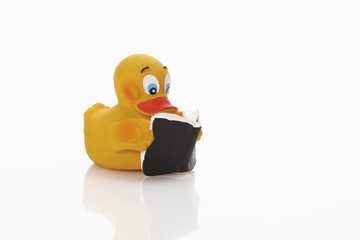 Gummi-Ente Lesebuch auf weißem Hintergrund
