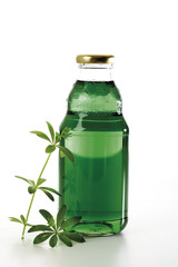 Waldmeister Syrup in Flasche