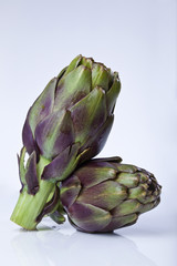 Fototapeta premium Artischocken (Cynara cardunculus , Syn . Cynara scolymus ) , close-up