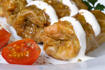stuffed cabbage rolls with  tomato macro. horizontal