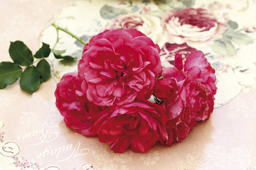 RosenBlüte, Blüten, Blumenn auf Bistrotisch,Tisch,close-up