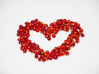 red lucky seed or Adenanthera pavonina in isolated background