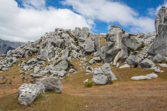 New Zeland Landscape - Castle hill