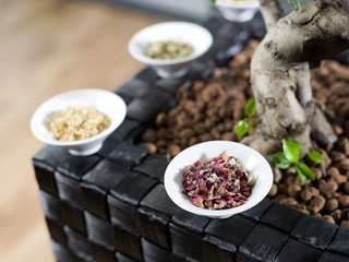 Kräuter in der Schale von Pflanze,close -up