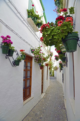 Street scene with pots of flower in the wall, Cordoba, Andalusia - 65202464