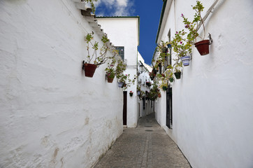 Fototapeta premium Street scene with pots of flower in the wall, Cordoba, Andalusia