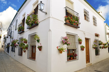 Fototapeta na wymiar Ulica sceny z doniczki z kwiatem w ścianie, Kordobie
