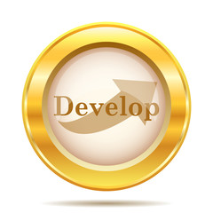 Develop icon