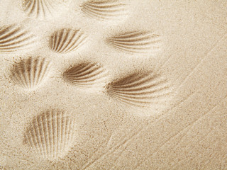 Fototapeta na wymiar Sandy beach background for summer. Sand texture.