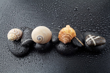 zen basalt stones and sells with dew