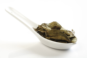 Getrocknete Curryblätter