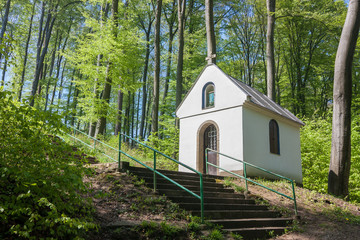 Chapel in beech forest