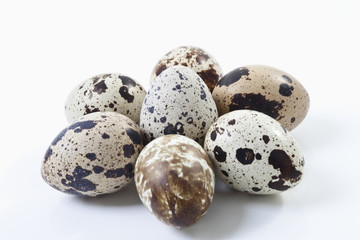 Fototapeta premium Wachteleier