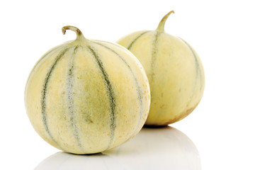 Cavaillon melonen