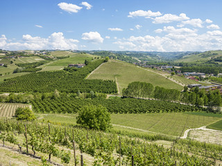 Panorama delle langhe